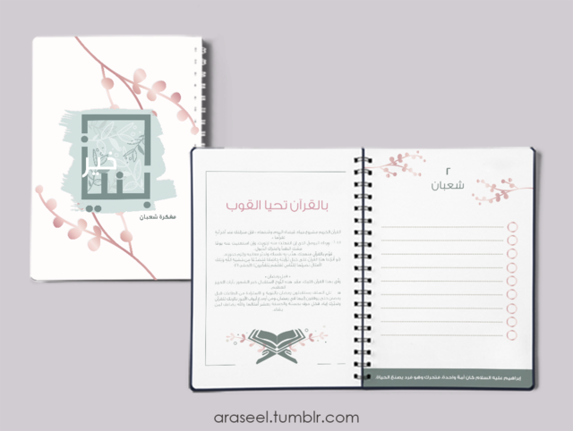 E187BD0A-8322-4A26-BB4B-E40EE6ED7A9F