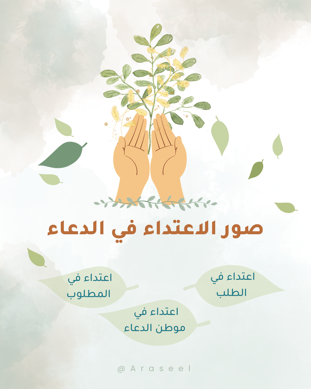 5_20250218_115628_0000