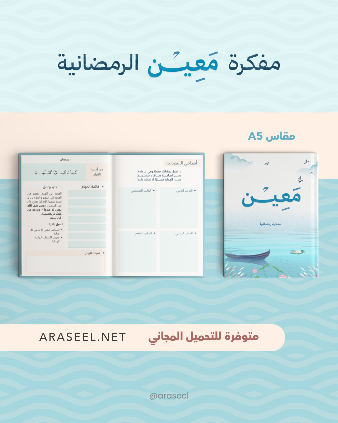 @araseel_20260215_085957_0000